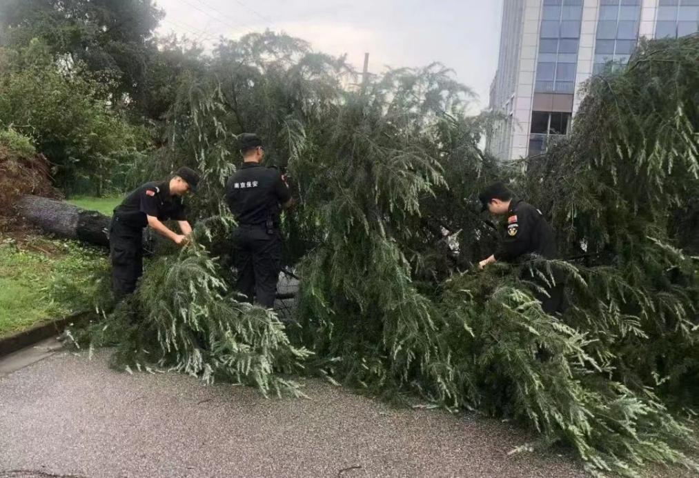 C:/Users/BA/Desktop/風(fēng)雨過(guò)后南京保安迅速行動(dòng)，恢復(fù)安“寧”面貌/1.jpg1